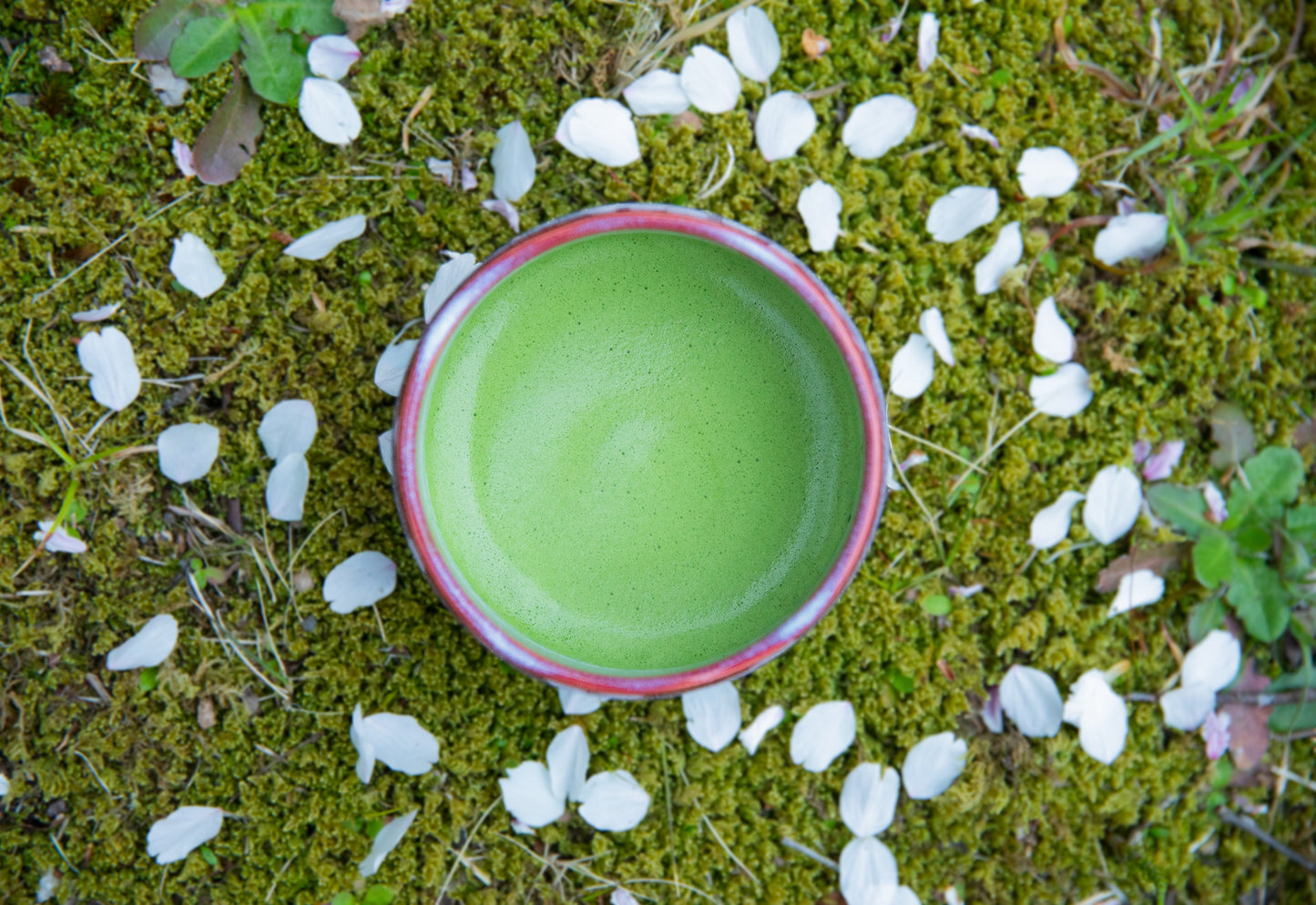 CEREMONIAL MATCHA MT FUJI OKUMIDORI