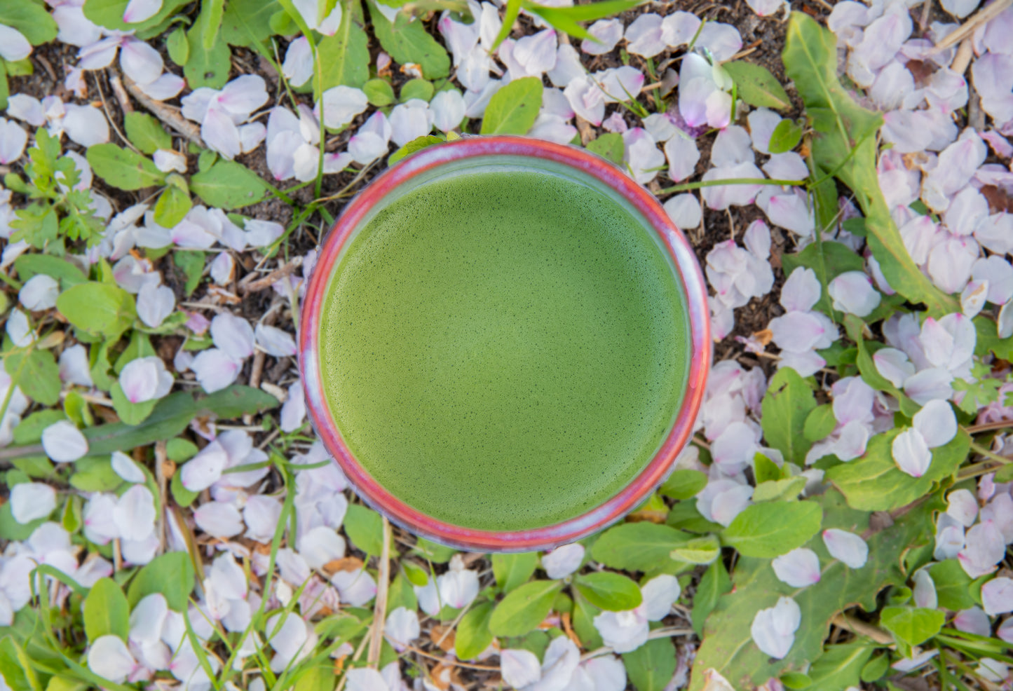 CEREMONIAL MATCHA MT FUJI TSUYUHIKARI