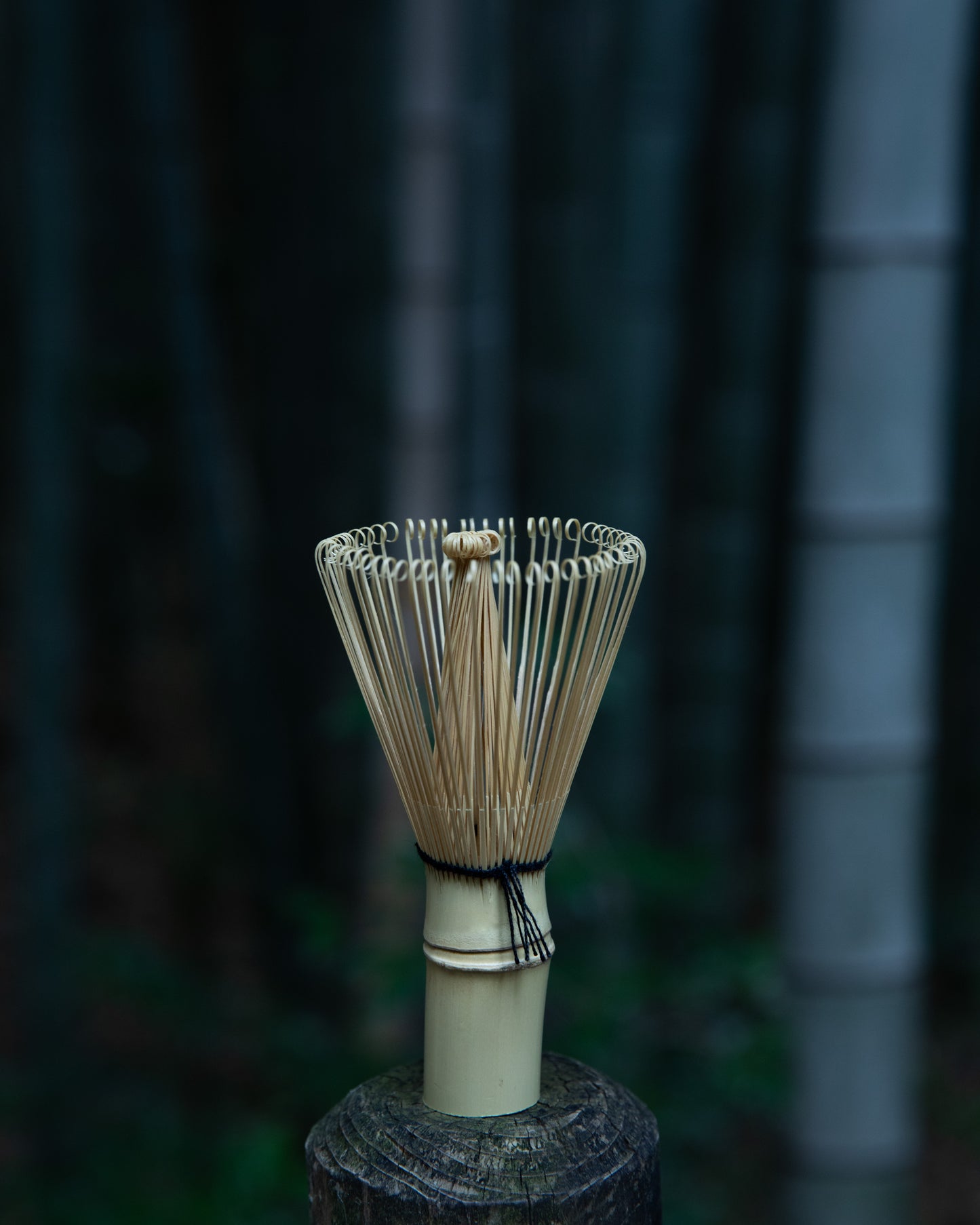 CHASEN-MATCHA WHIP